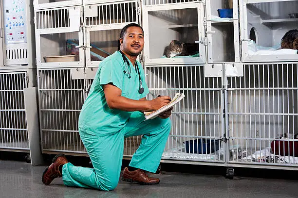 Vet or technician, 30s, working in animal shelter