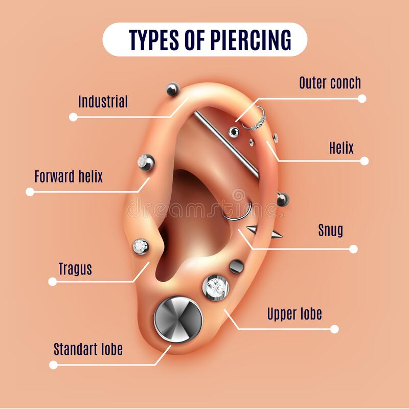 how-much-does-it-cost-to-get-your-ears-pierced-by-a-professional