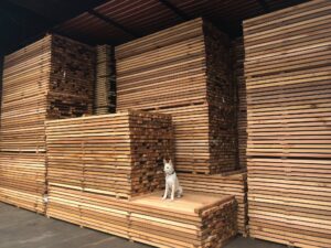 How Much Does It Cost To Kiln Dry Wood