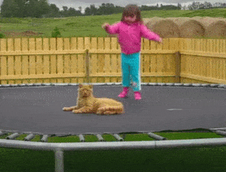 Cost of Trampoline